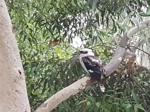 Wilsons Promontory Motel - Accommodation Asia 26