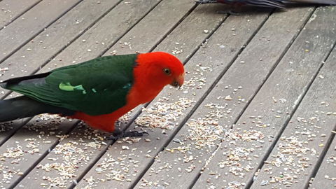 Wilsons Promontory Motel - Accommodation Asia 27