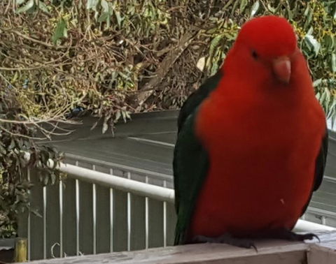 Wilsons Promontory Motel - Accommodation Asia 23