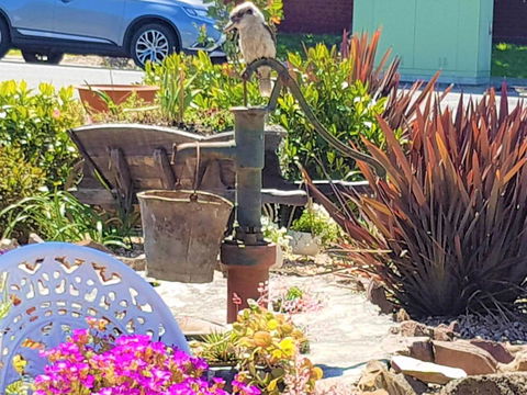 Wilsons Promontory Motel - Accommodation Asia 8