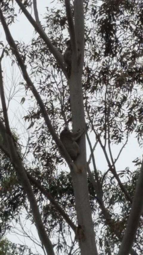 Wilsons Promontory Motel - Accommodation Asia 29