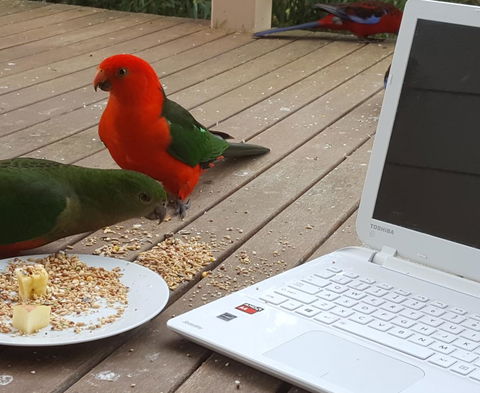 Wilsons Promontory Motel - Accommodation Asia 0