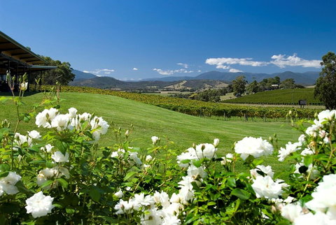 Balgownie Estate Yarra Valley - Accommodation Asia 36