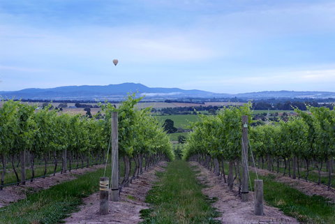 Balgownie Estate Yarra Valley - Accommodation Asia 37