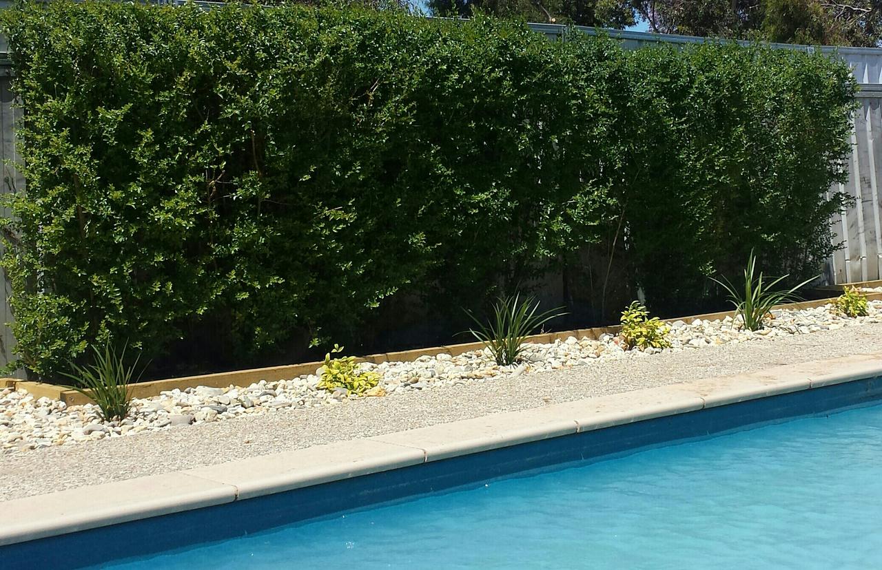 Robinvale Irrigation District Section C VIC Accommodation Asia
