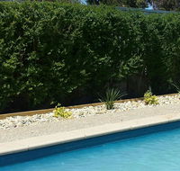 Robinvale Bridge Motel - Accommodation Asia