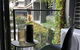 Rose Lane Serviced Apartment - thumb 9