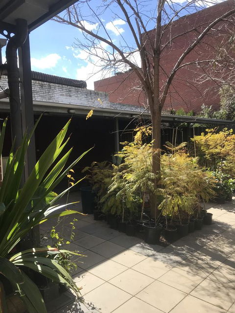 CROWN CENTRAL BUSINESS DISTRICT MOTEL - NO UNDER 18s - Accommodation Asia 21
