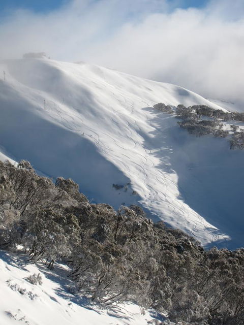 The Harrietville Snowline Hotel - Accommodation Asia 29