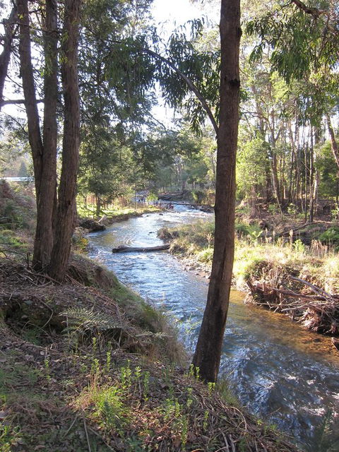 The Harrietville Snowline Hotel - Accommodation Asia 35