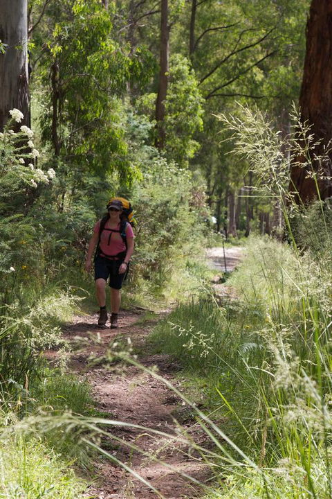 The Harrietville Snowline Hotel - Accommodation Asia 11