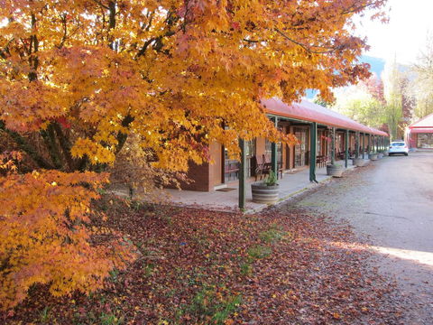 The Harrietville Snowline Hotel - Accommodation Asia 21