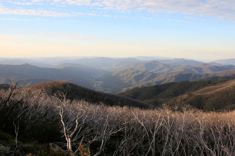 The Harrietville Snowline Hotel - Accommodation Asia 36