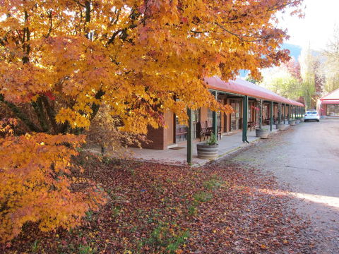 The Harrietville Snowline Hotel - Accommodation Asia 14