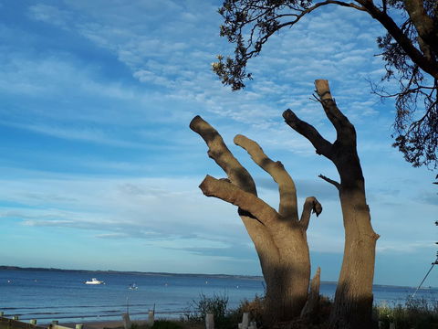 Apartments In Phillip Island Towers - Block C - Accommodation Guide 10