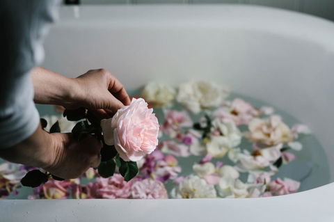 Acre Of Roses - Accommodation Asia 7