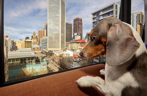 Urban Apartments Melbourne On Elizabeth - Accommodation Guide 22