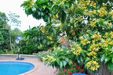Crimea Retreat - Accommodation Asia 20