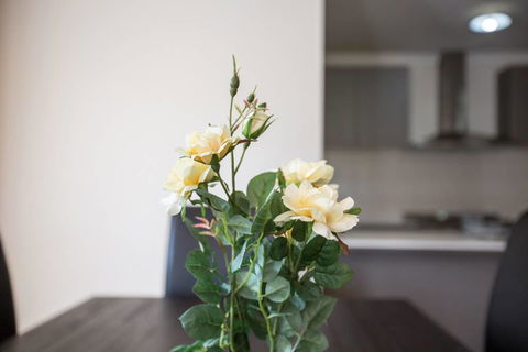 Holiday Rose - Accommodation Asia 8