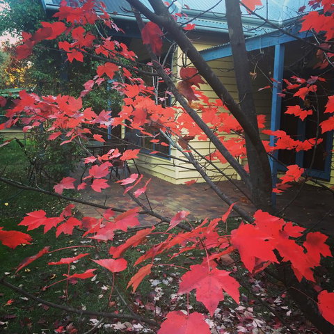 The Orchard House - Accommodation Guide 27