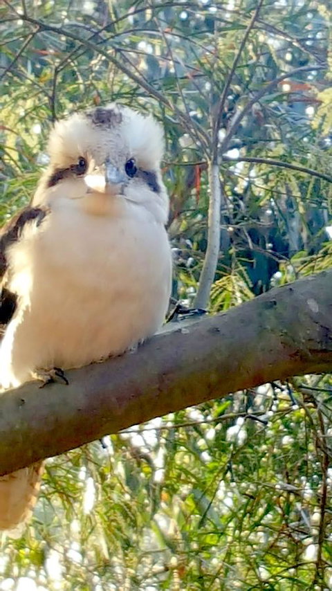 The Nature Resort Villas - Accommodation Asia 22