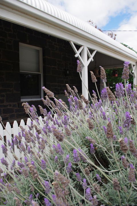Little River Bed And Breakfast - Accommodation Guide 30