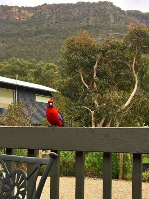 Kangurra Holiday House - Accommodation Asia 15