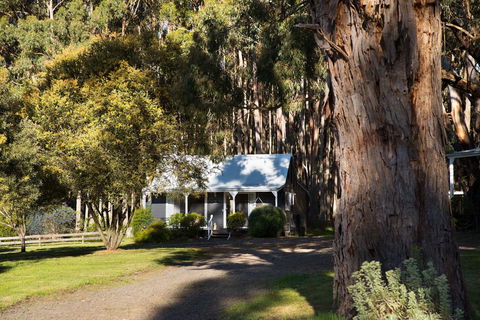 Bodhi Daylesford - Accommodation Asia 8
