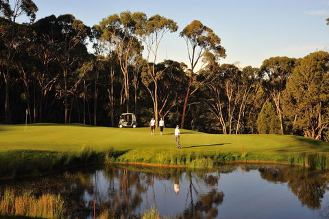 RACV Goldfields Resort - Accommodation Asia 31