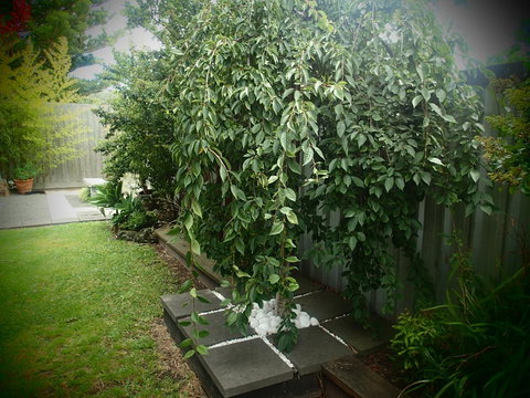 Azen Haven - Accommodation Asia 12