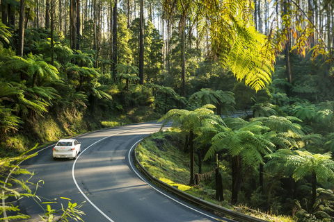 Lithgow Falls Marysville - Accommodation Asia 15