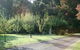 Strathmore Farm B&B - thumb 33