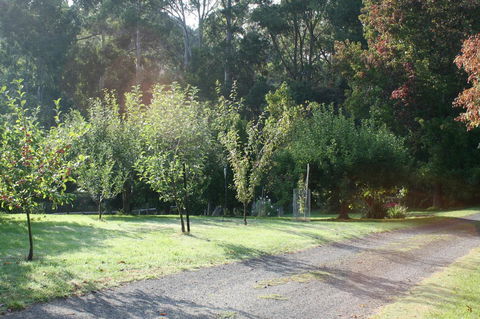 Strathmore Farm B&B - Accommodation Asia 33