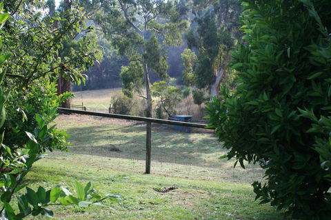 Strathmore Farm B&B - Accommodation Asia 30
