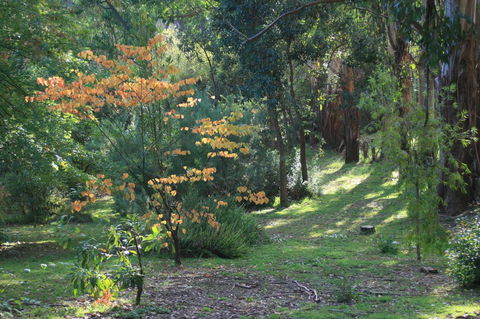 Strathmore Farm B&B - Accommodation Asia 25