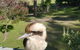 Gipsy Point Lodge & Cottages - thumb 8