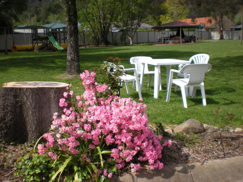 Willow Dene Holiday Apartments - Accommodation Guide 24