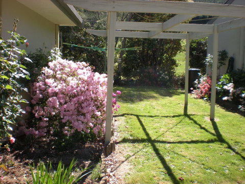 Willow Dene Holiday Apartments - Accommodation Guide 25