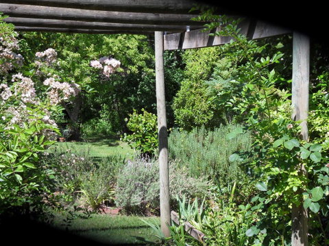 On The Banks - Accommodation Guide 17