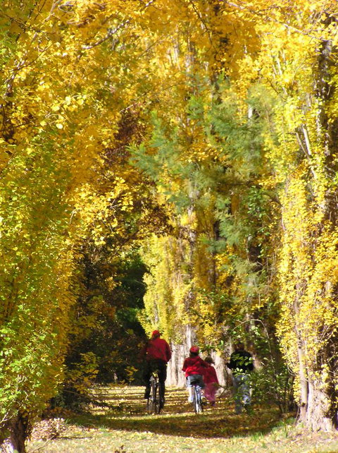 On The Banks - Accommodation Guide 15
