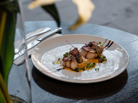 Melbourne Marriott Hotel - Accommodation Guide 36
