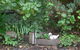 Fairbank House - thumb 24
