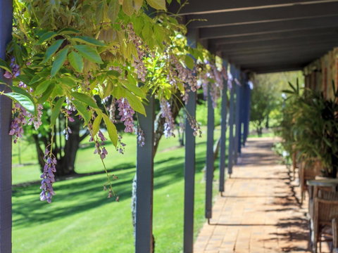 Bright Mystic Valley - Accommodation Guide 22