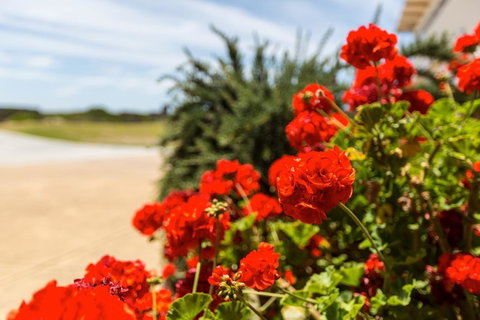 Cottages For Couples - Accommodation Guide 13
