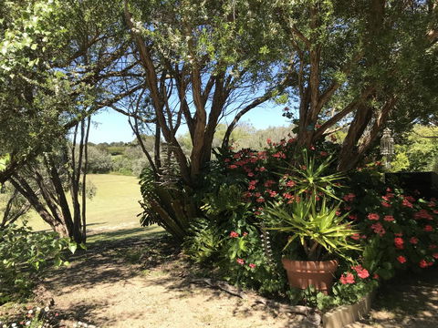 The Fingal Farm - Accommodation Asia 9