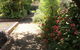 The Fingal Farm - thumb 19