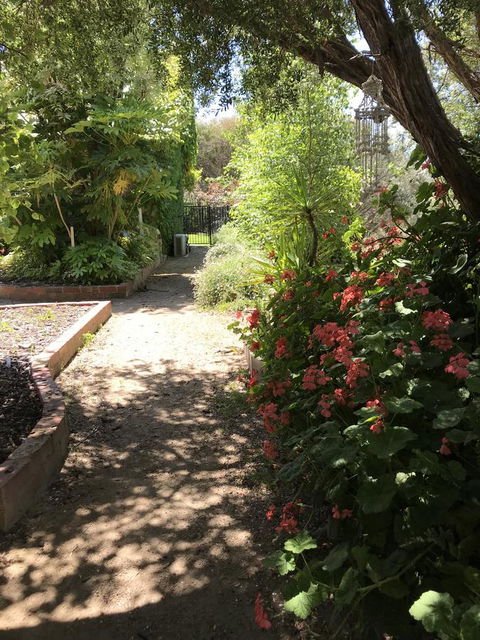 The Fingal Farm - Accommodation Asia 19