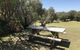 The Fingal Farm - thumb 22