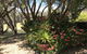 The Fingal Farm - thumb 33