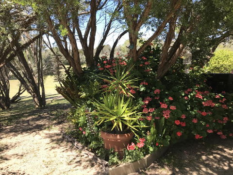The Fingal Farm - Accommodation Asia 33